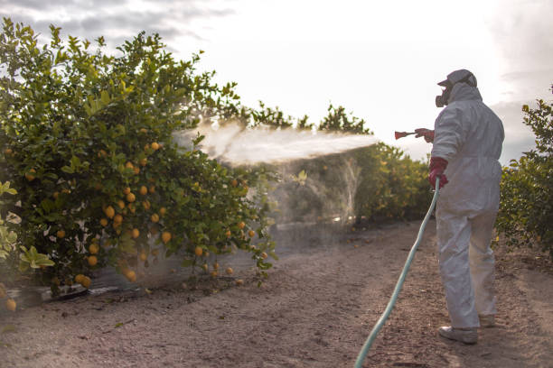 Wildlife Control Services in Sparkill, NY