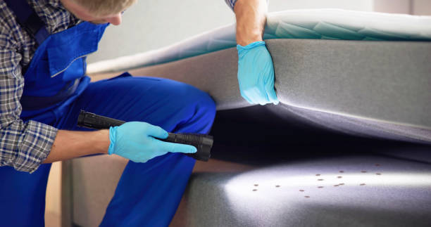 Best Emergency Pest Control  in Sparkill, NY