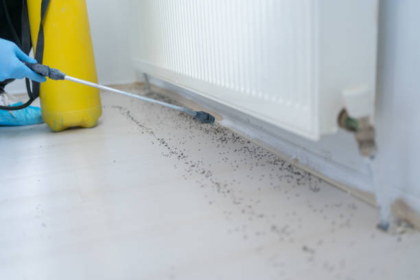 Best Mosquito Control Services  in Sparkill, NY